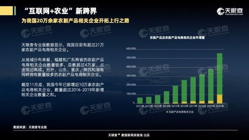 互聯(lián)網(wǎng)銷售助推農(nóng)業(yè)轉(zhuǎn)型，粵閩農(nóng)副產(chǎn)品電商企業(yè)突破4萬(wàn)家占全國(guó)近兩成