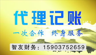 平頂山代理記賬與代理代辦服務 企業(yè)高效運營的得力助手